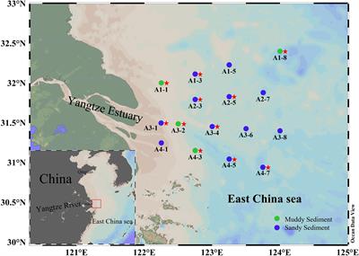 Nitrogen-loss and associated microbial communities in sediments from the Yangtze Estuary and adjacent sea